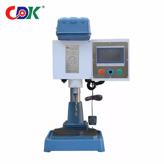 Hot Selling Dsz-30 26mm Automatic Servo Motor CNC Drilling Tapping Machine in Bicycle, Lampshade, Metal Processing, Sanitary Field