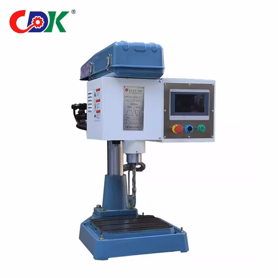 Hot Selling Dsz-30 26mm Automatic Servo Motor CNC Drilling Tapping Machine in Bicycle, Lampshade, Metal Processing, Sanitary Field